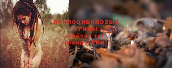 MESCALINE Вязьма