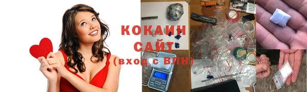 гидропоника Новозыбков