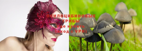 амфетамин Новодвинск