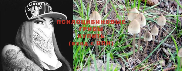 гидропоника Новозыбков
